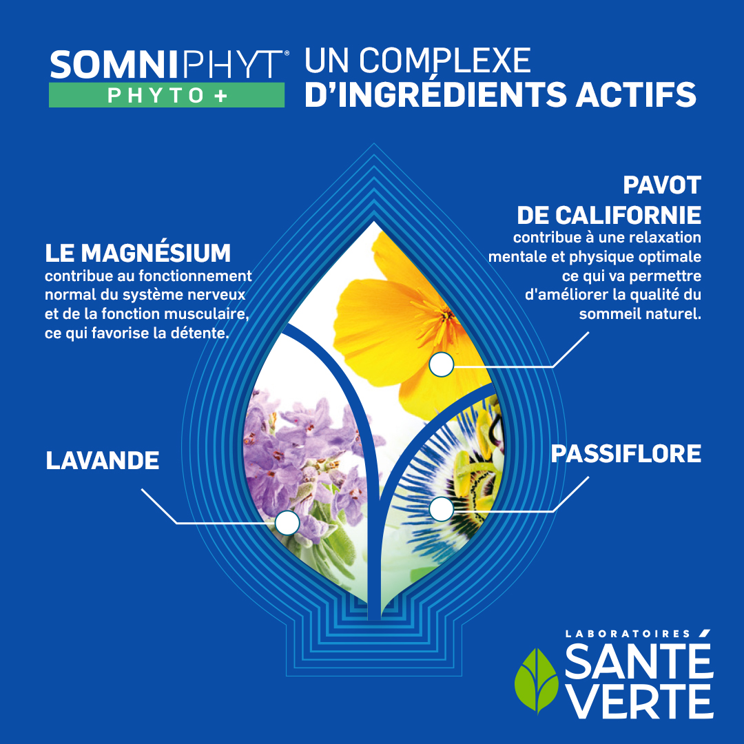 Pavot - Caractéristiques, Utilisations et Bienfaits