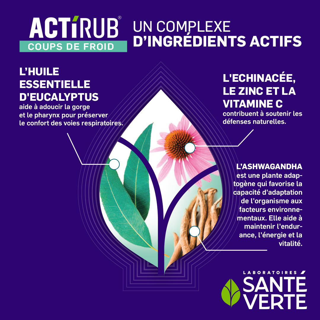 Thé vert  Ingrédients naturels actifs