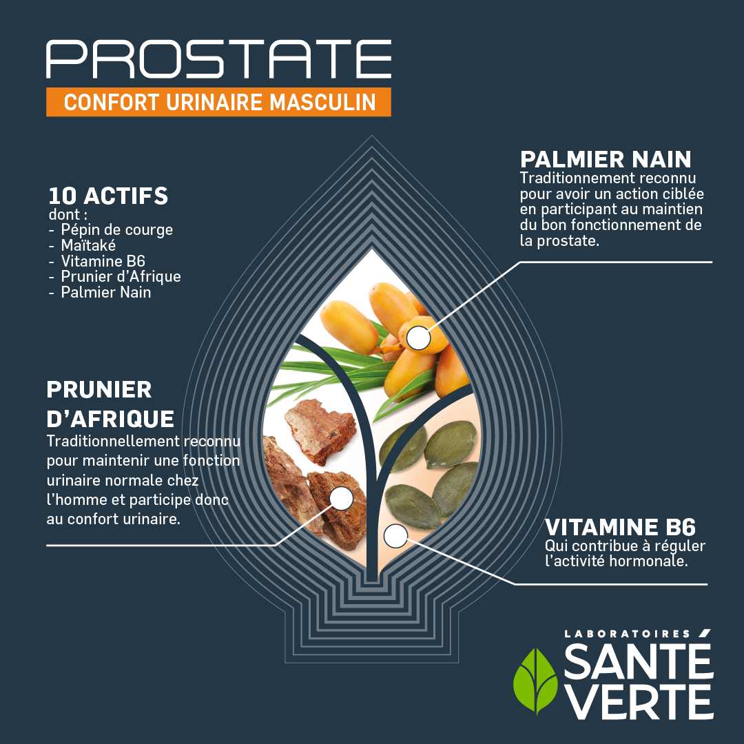 Prostate - Image 2