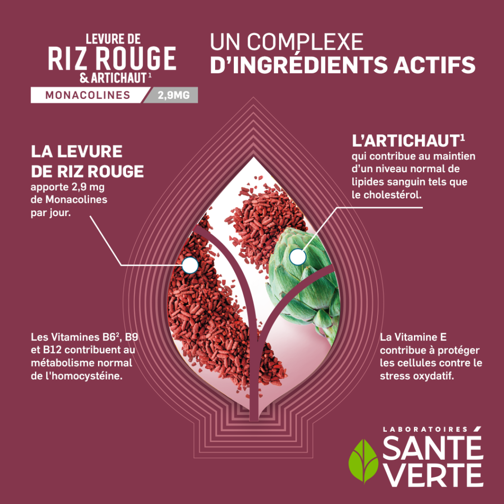 LEVURE DE RIZ ROUGE ET ARTICHAUT • Laboratoires Santé Verte — free download